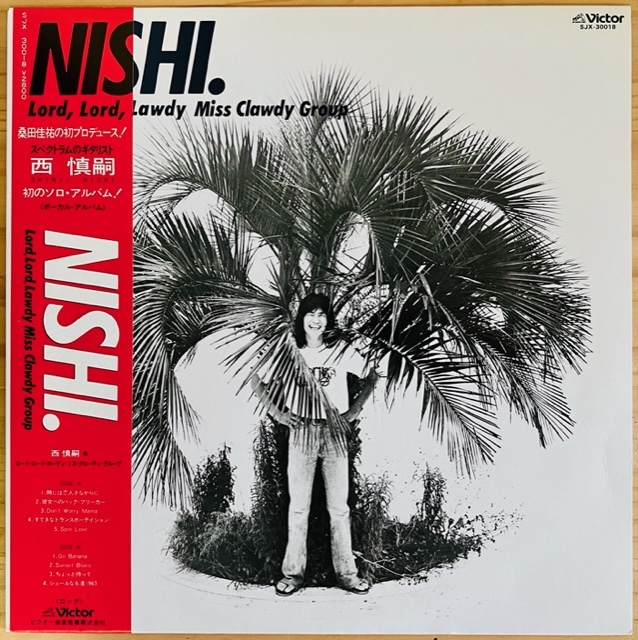 Yahoo!オークション - LP 和ブギー/シティポップ/西慎嗣 (SHINJI Yahoo!オークション - LP 和ブギー/シティポップ/西慎嗣 (SHINJI