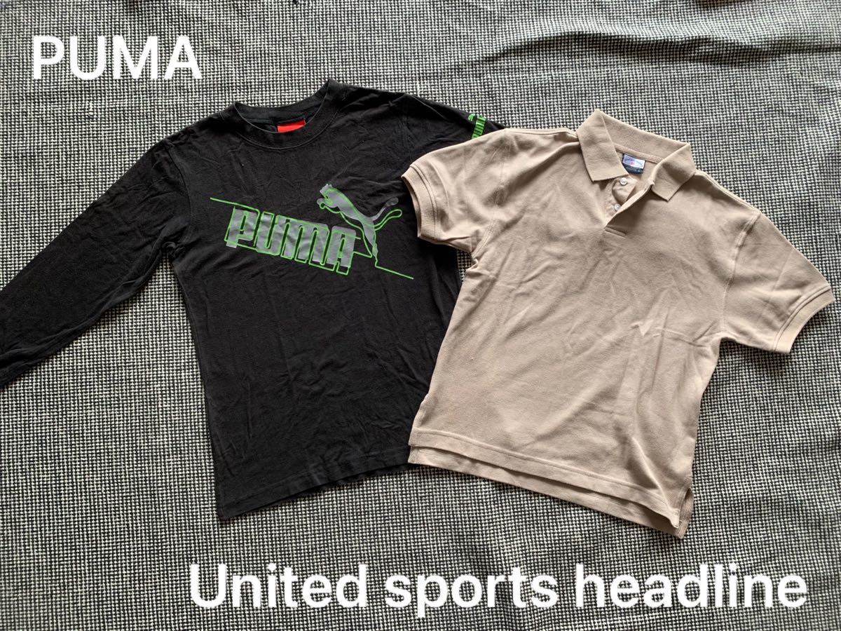 PUMA 長袖Tシャツ　United sports headline ポロシャツ