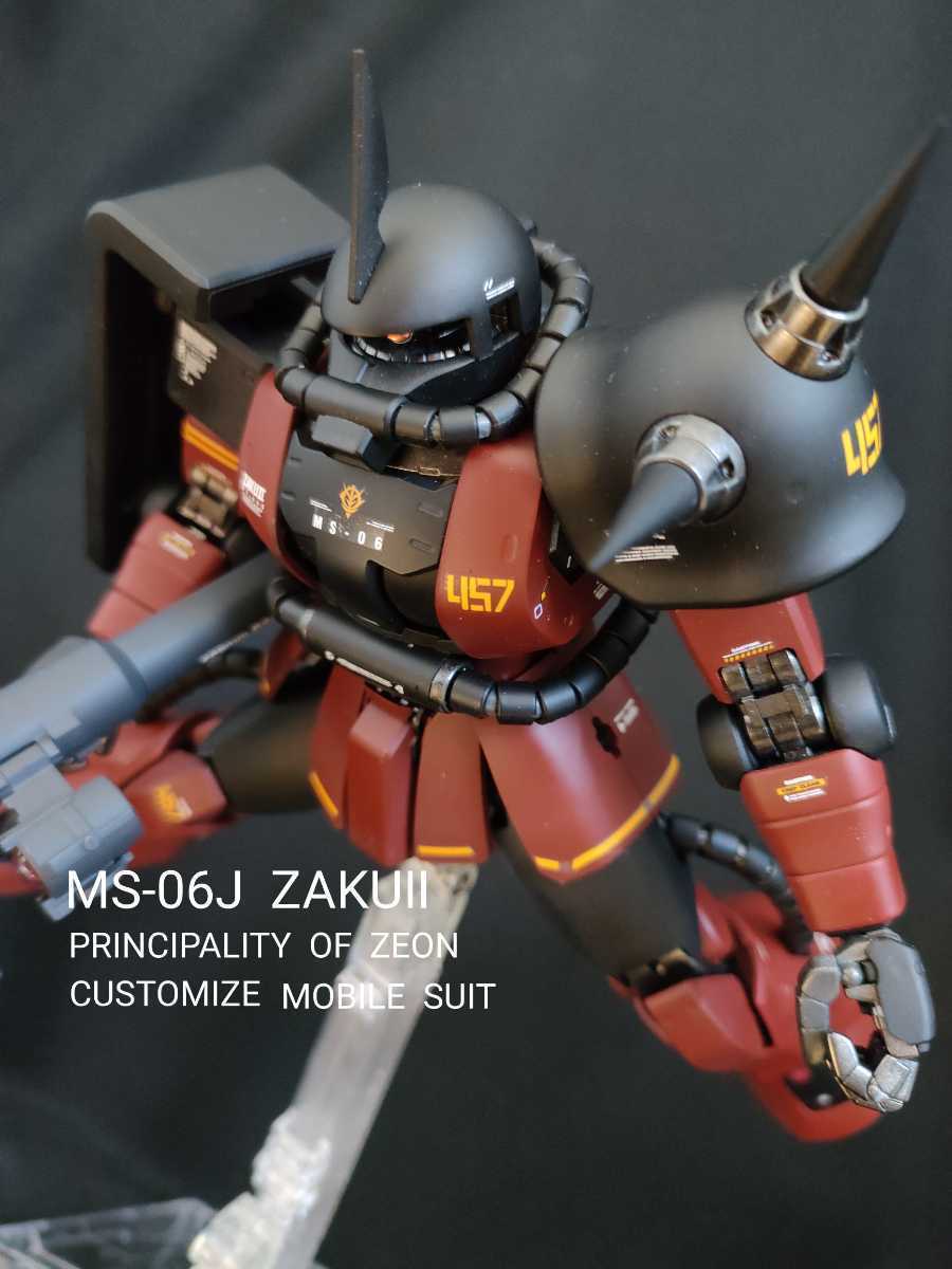 ヤフオク! - MG1/100 MS06J ギャビー・ハザード専用ザクⅡ