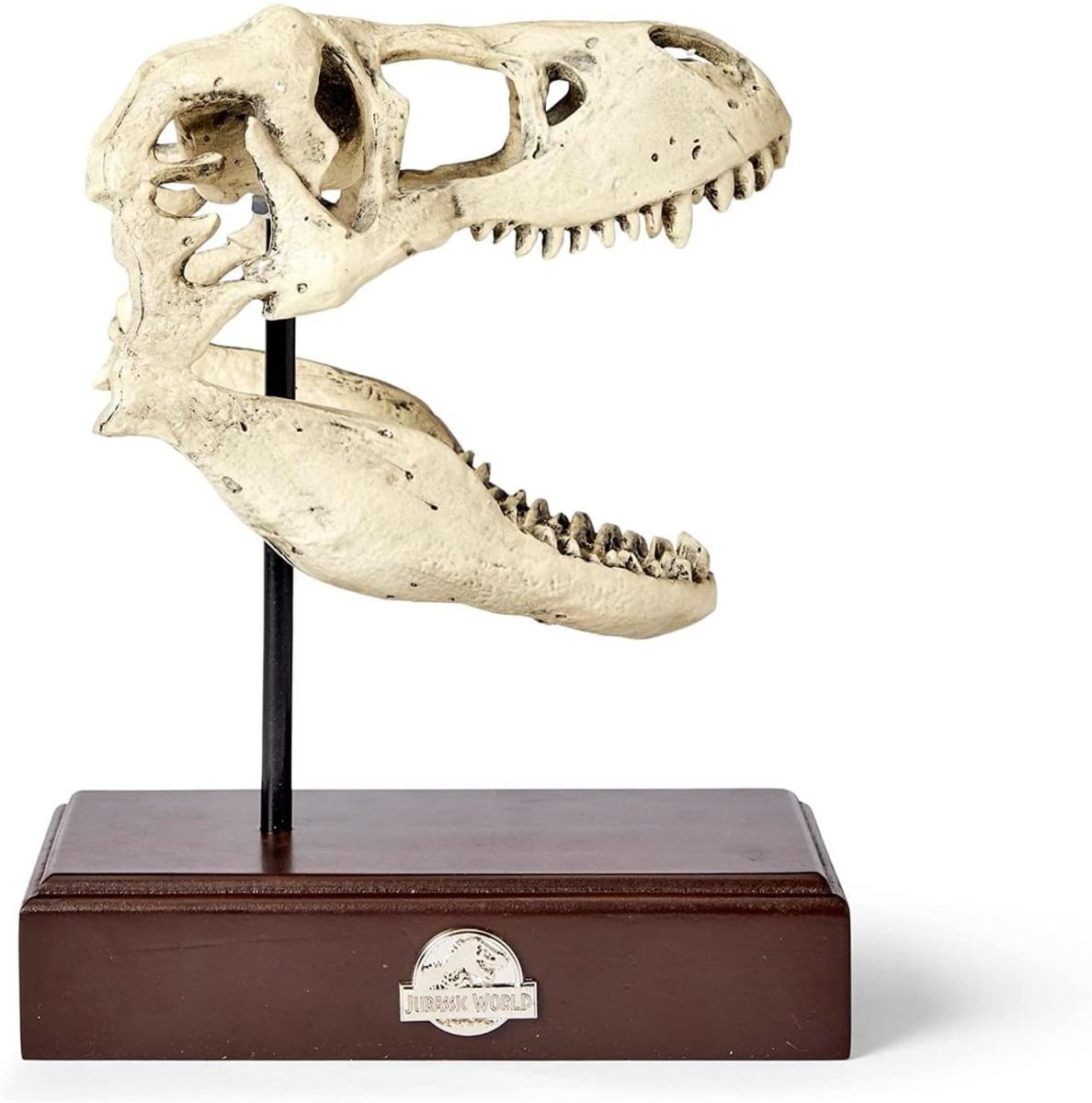 ジュラシック・ワールド ティラノサウルス レックス頭蓋骨 彫像 レジン化石レプリカ TRex恐竜頭像（輸入品