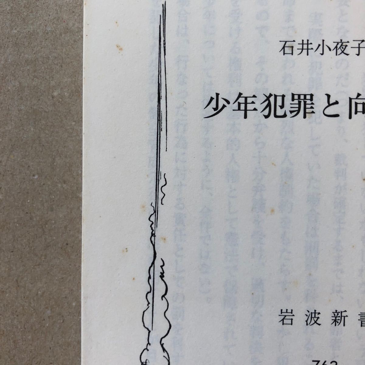 少年犯罪と向きあう 岩波新書／石井小夜子 (著者)