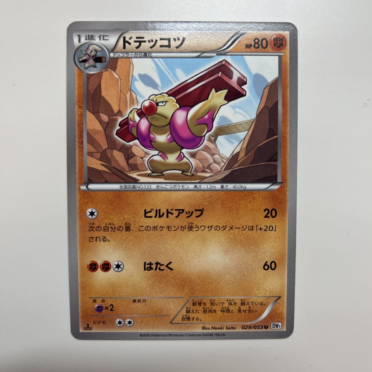 在庫19枚 ドテッコツ 029 053 1edition ポケモンカード ポケモン ホワイト Bw1 Bw Axsz 削除予定 ポケモンカードゲームbw 売買されたオークション情報 Yahooの商品情報をアーカイブ公開 オークファン Aucfan Com