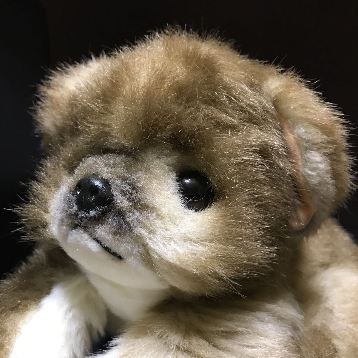 吉徳 犬 ぬいぐるみ | www.navistar.ind.br