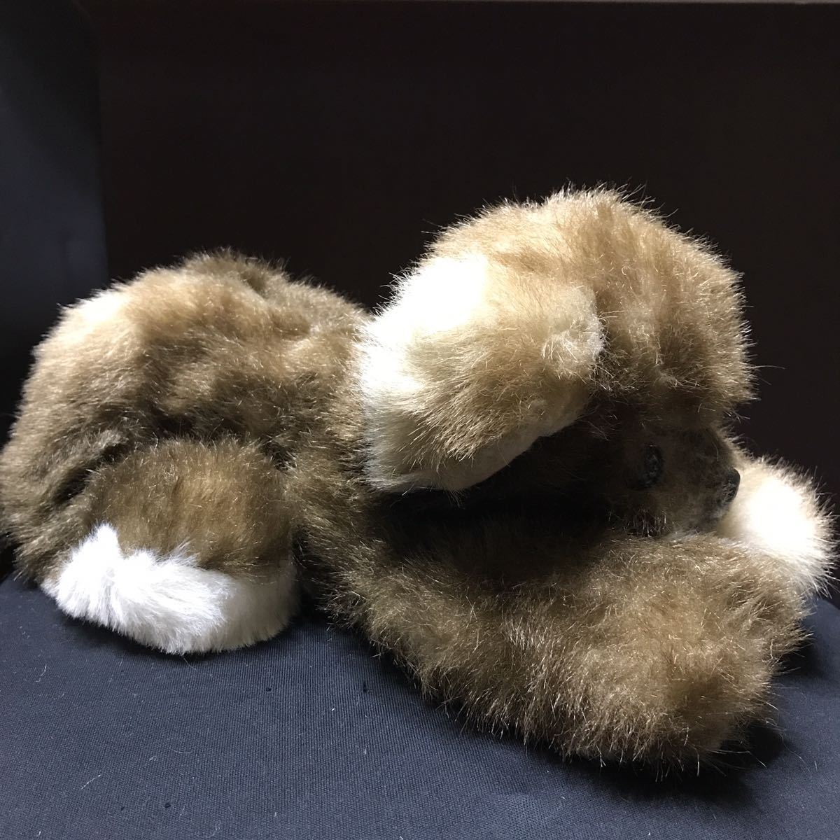 吉徳 犬 ぬいぐるみ | www.navistar.ind.br