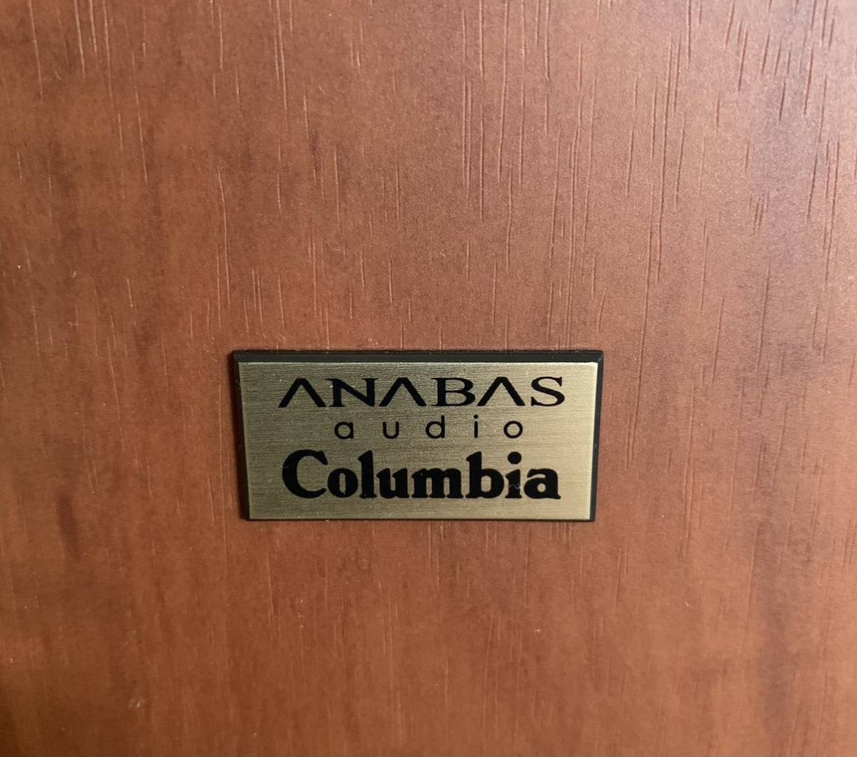 18年製 Columbia ANABAS AUDIO NCA-100 リモコンあり 100内臓 18年製 Columbia ANABAS AUDIO NCA-100 リモコンあり 100内臓