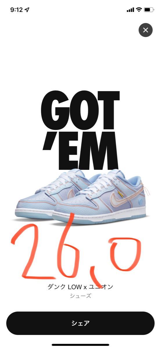 UNION NIKE DUNK LOW ARGON ユニオン ナイキ ダンク ロー アルゴン