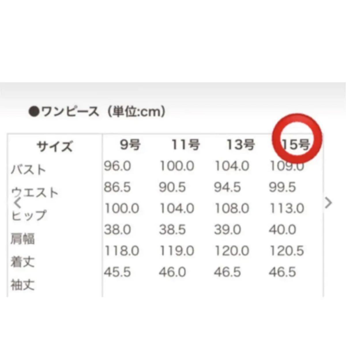 新品東京ソワールラメレースが華やかな前開きのロングワンピース