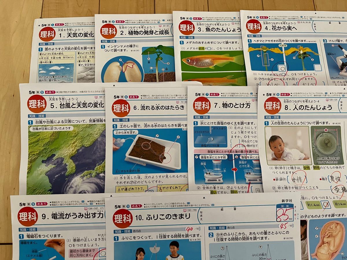 小学5年 理科 カラーテスト 新学社 小学5年 理科 カラーテスト 新学社