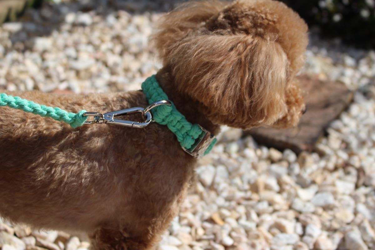 ☆犬用  Mサイズ 小型犬  中型犬   大型犬  可愛い  オシャレ首輪＆リードセット　ハンドメイド　各カラー　ペット　愛犬