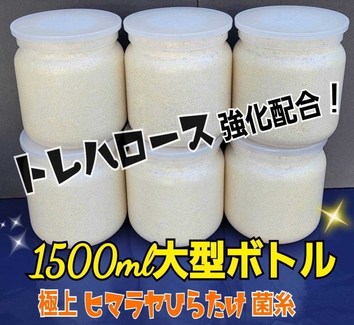 特大菌糸ボトル1500ml【4本】ヒマラヤひらたけ初菌で作成！特殊アミノ酸強化配合！国産オオクワガタ85mm羽化実績☆ヒラタ、ギラファにも！