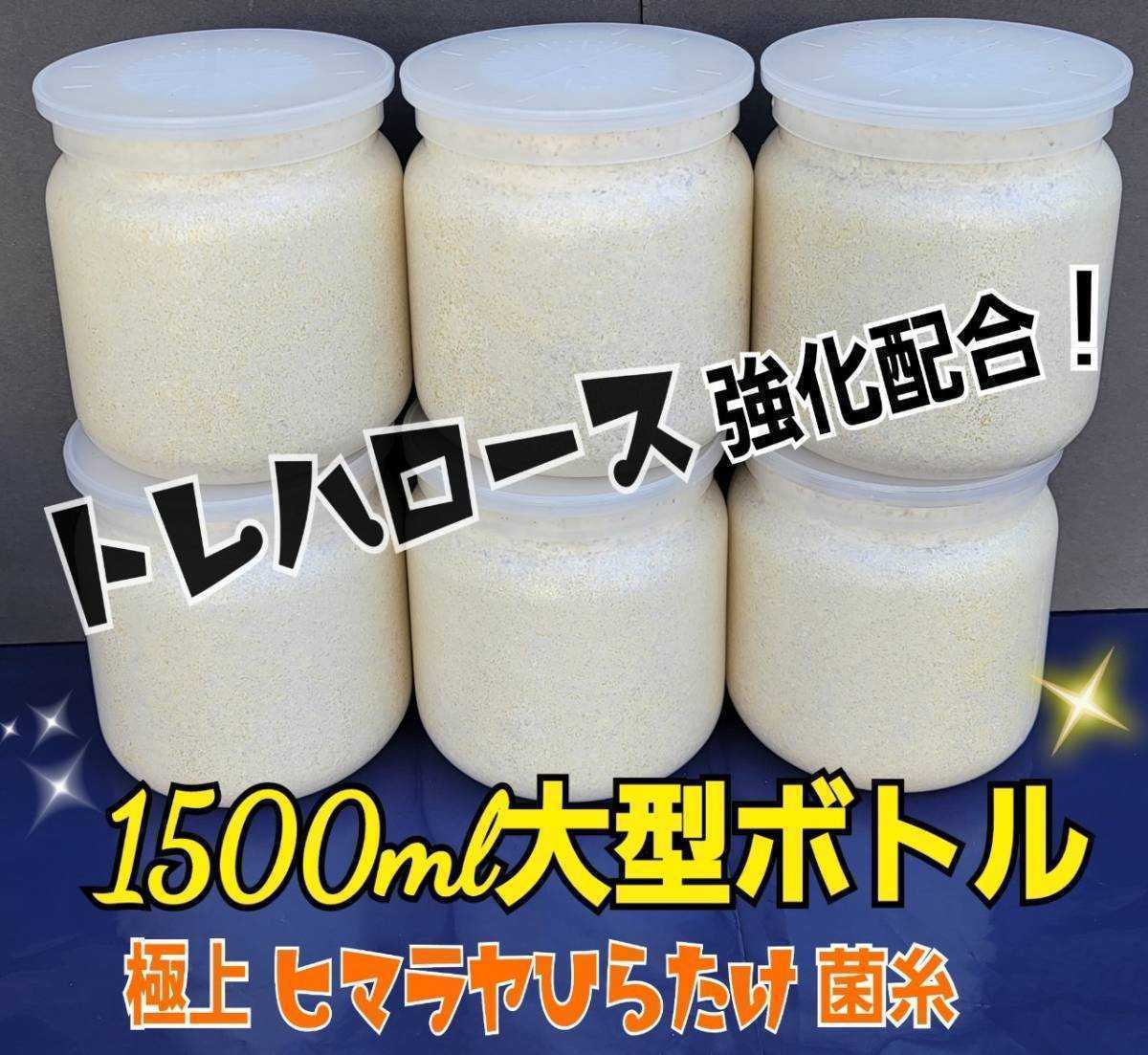 特大菌糸ボトル1500ml【6本】ヒマラヤひらたけ初菌で作成！特殊アミノ酸強化配合！国産オオクワガタ85mm羽化実績！ヒラタ、ギラファにも！_画像2