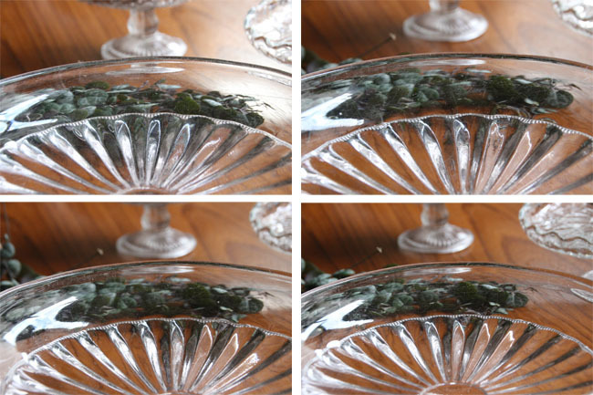 # shop front price Y11000# glass player -to74# plate plate table wear # Britain antique 