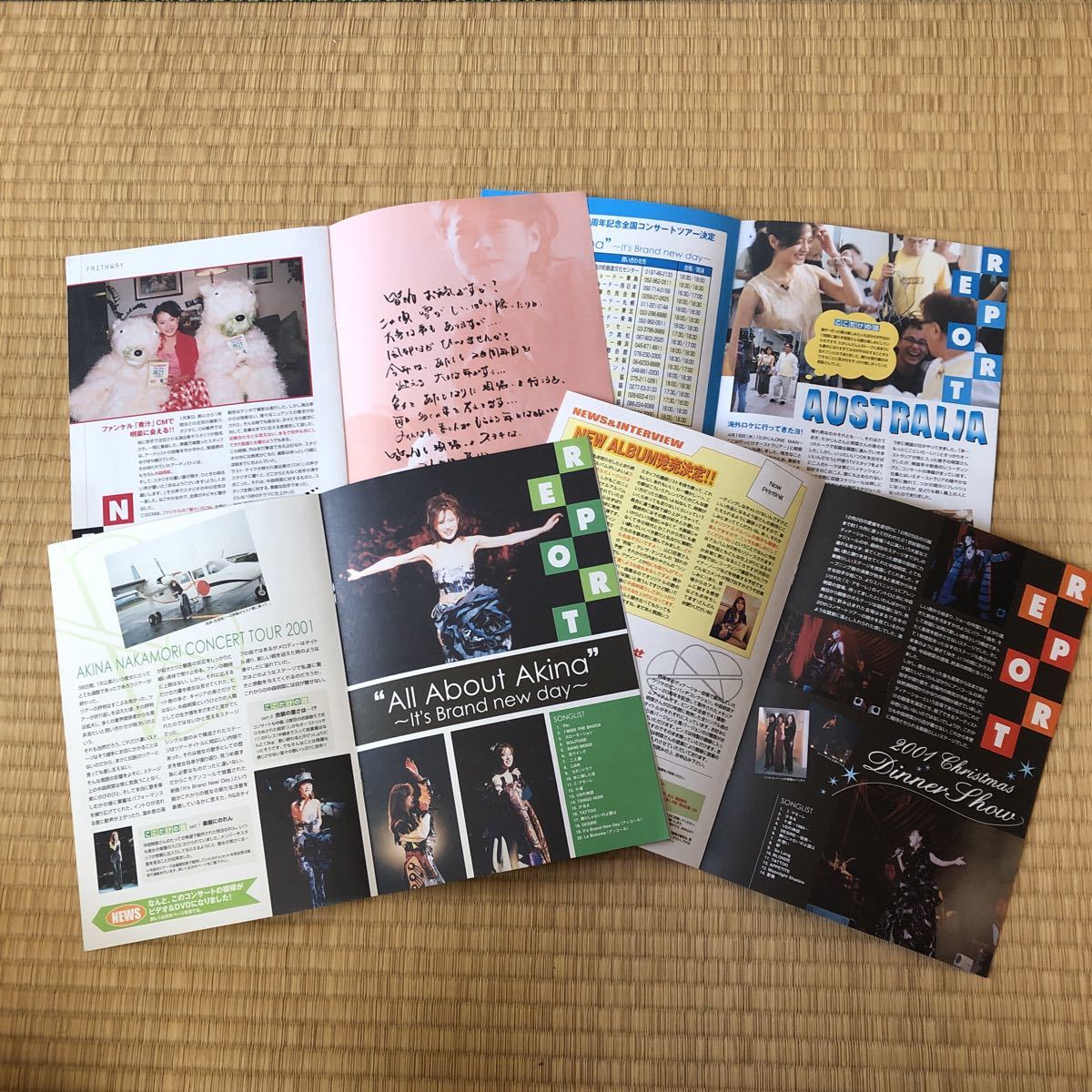 レア！中森明菜さんファンクラブ 「FAITHWAY」会報誌　Vol.3~Vol.22まで計20冊_画像4