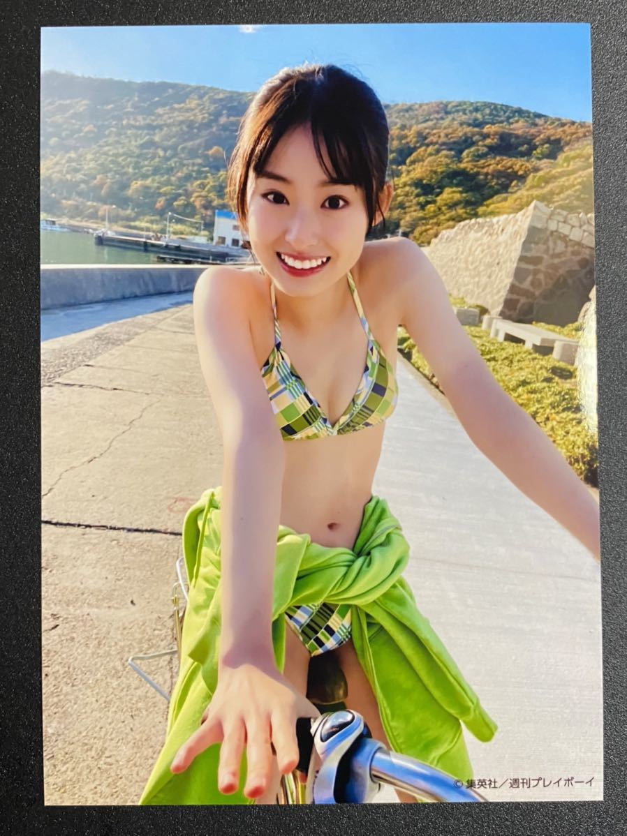 超激安 井本彩花 チェキ fawe.org