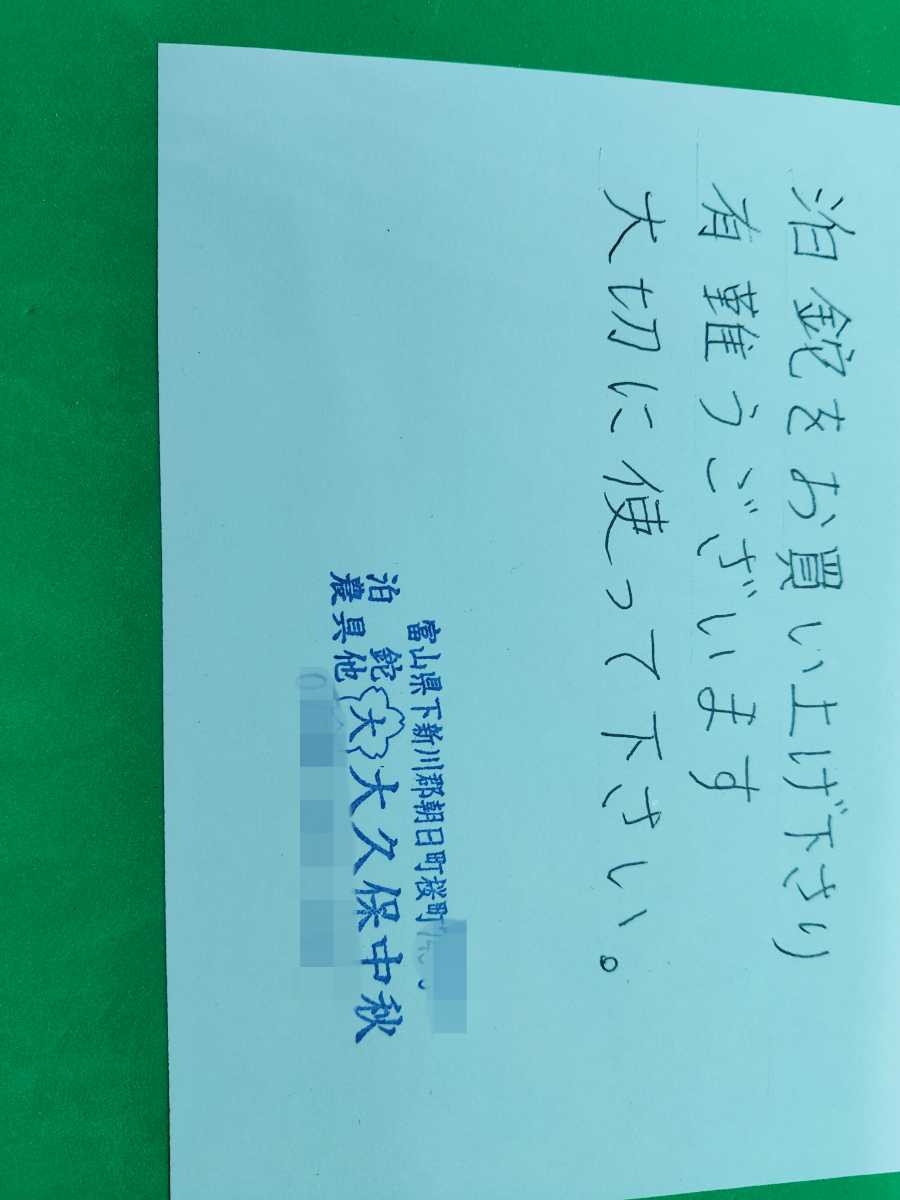 幻になってしまった泊鉈 大久保中秋名人 作 剣鉈 富山 山師 幻になってしまった泊鉈 大久保中秋名人 作 剣鉈 富山 山師