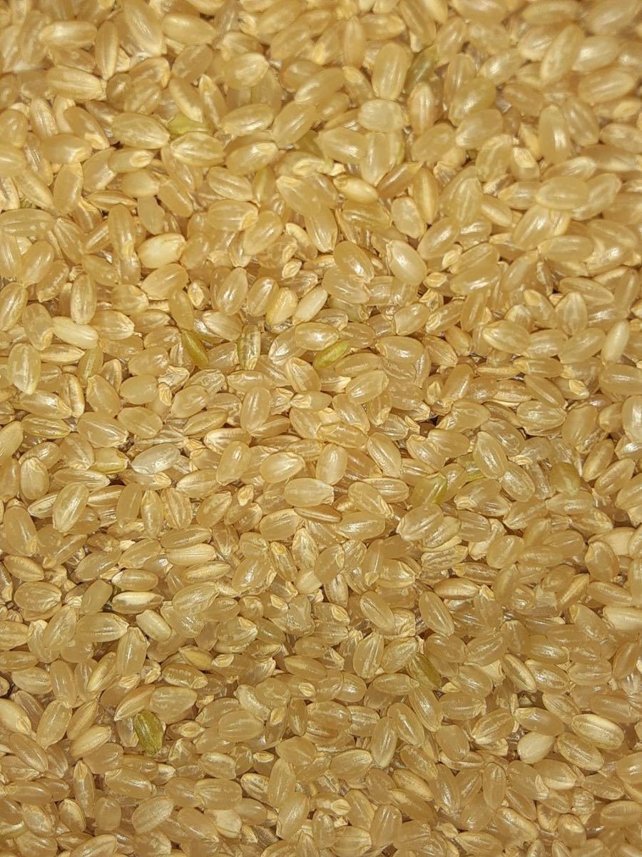 新米15kg玄米！送料無料！格安！令和3年茨城産コシヒカリ　ブレンド米　限定1 残り僅か　おいしい_画像2