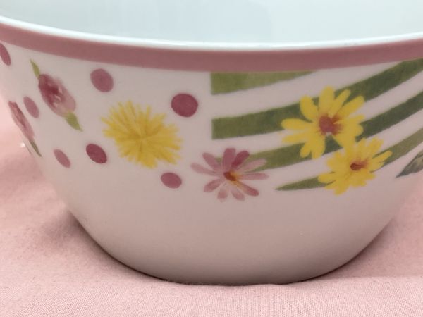 [ cheap * prompt decision ]Afternoon Tea Cato Friend salad bowl circle plate diameter 13.5cm height 7cm