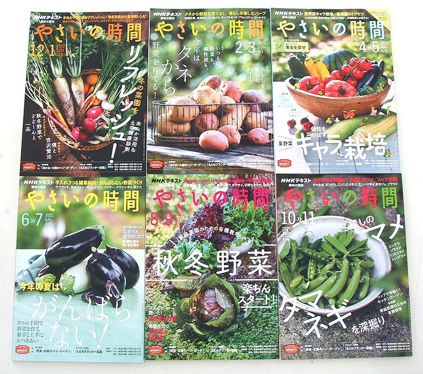  regular price tax included Y5478 jpy -Y2750 jpy + postage *NHK hobby. gardening .... hour *2020 year 12 month ~2021 year 11 month till. 6 pcs. set * Cara cultivation * have machine cultivation *tama welsh onion 