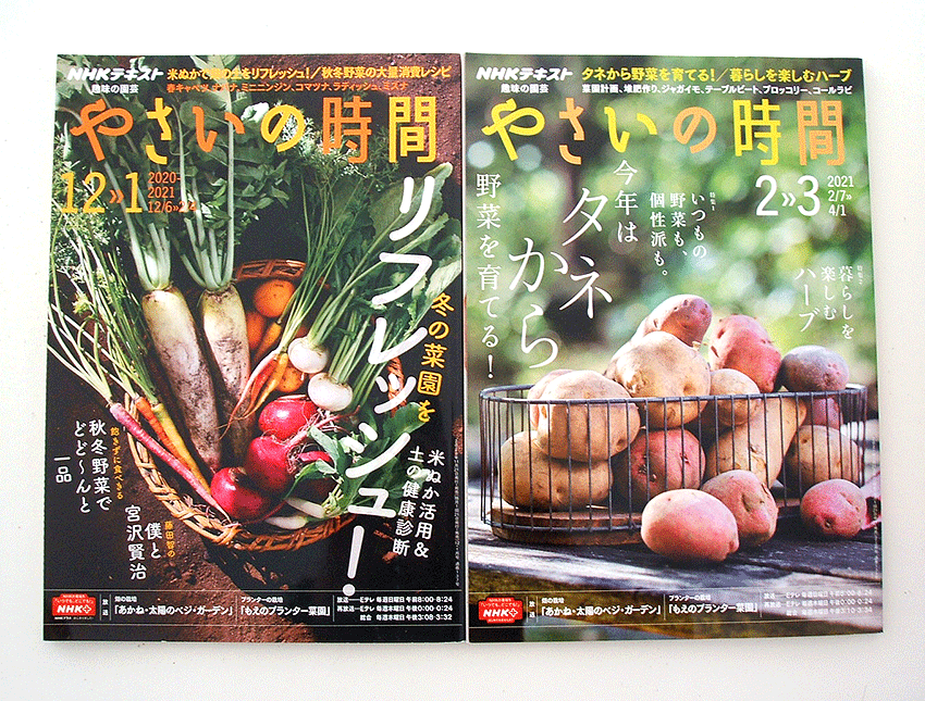  regular price tax included Y5478 jpy -Y2750 jpy + postage *NHK hobby. gardening .... hour *2020 year 12 month ~2021 year 11 month till. 6 pcs. set * Cara cultivation * have machine cultivation *tama welsh onion 