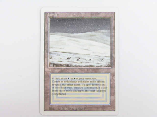 MtG 《Tundra》[3ED] 中古 ◆N6489_画像1