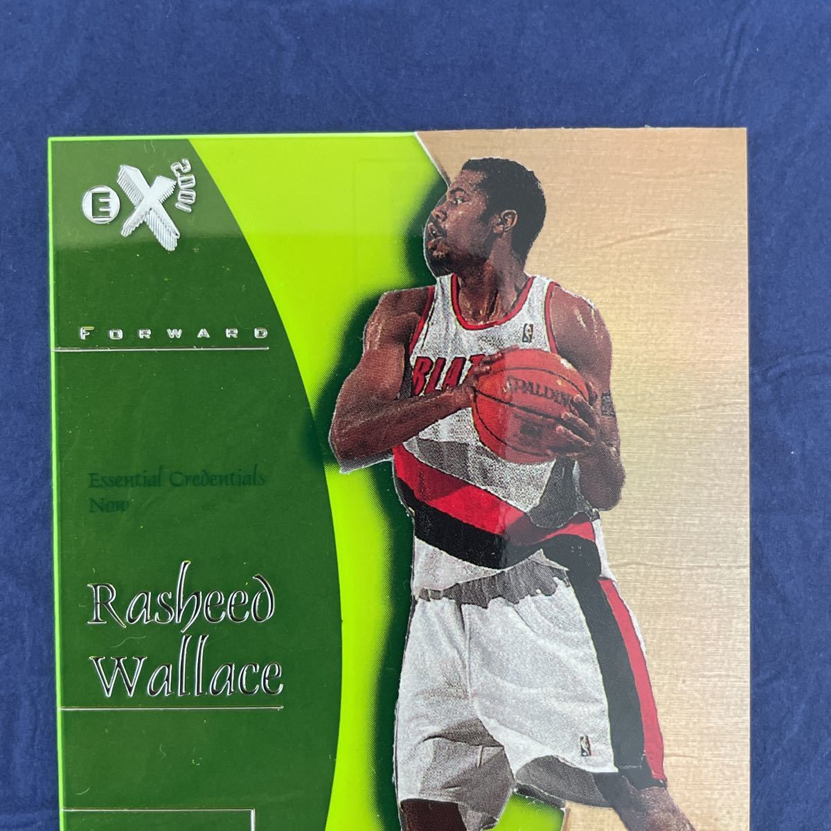 NBA E-X Credentials Now Rasheed Wallace | www.ddechuquisaca.gob.bo