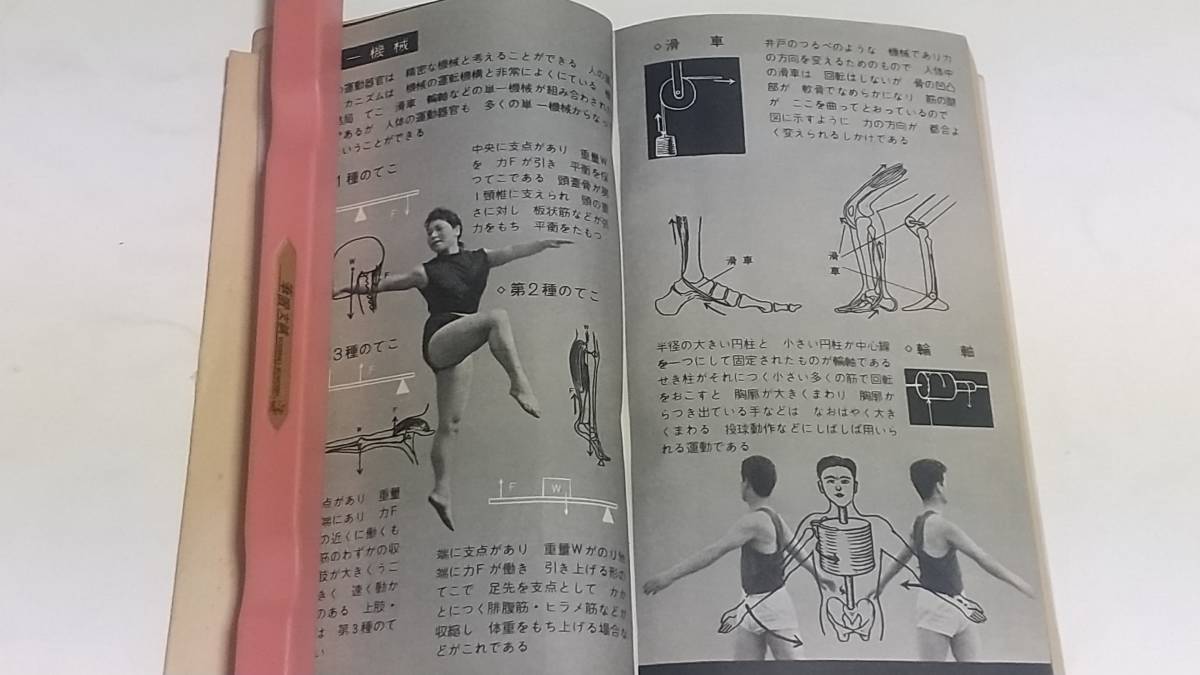 昭和３８年　高校生の運動とルール　_画像4