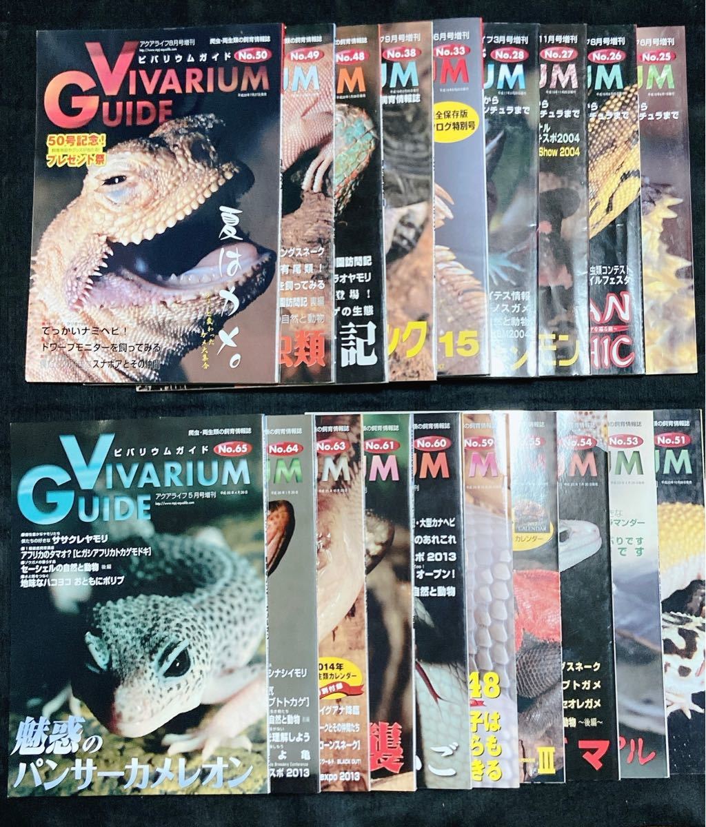ビバリウムガイド バックナンバー66冊 +おまけ まとめ売り