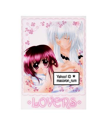 犬夜叉同人誌★ 犬夜叉×かごめ 犬かご ★ LOVERS ★ 桜館/芹桜さくら