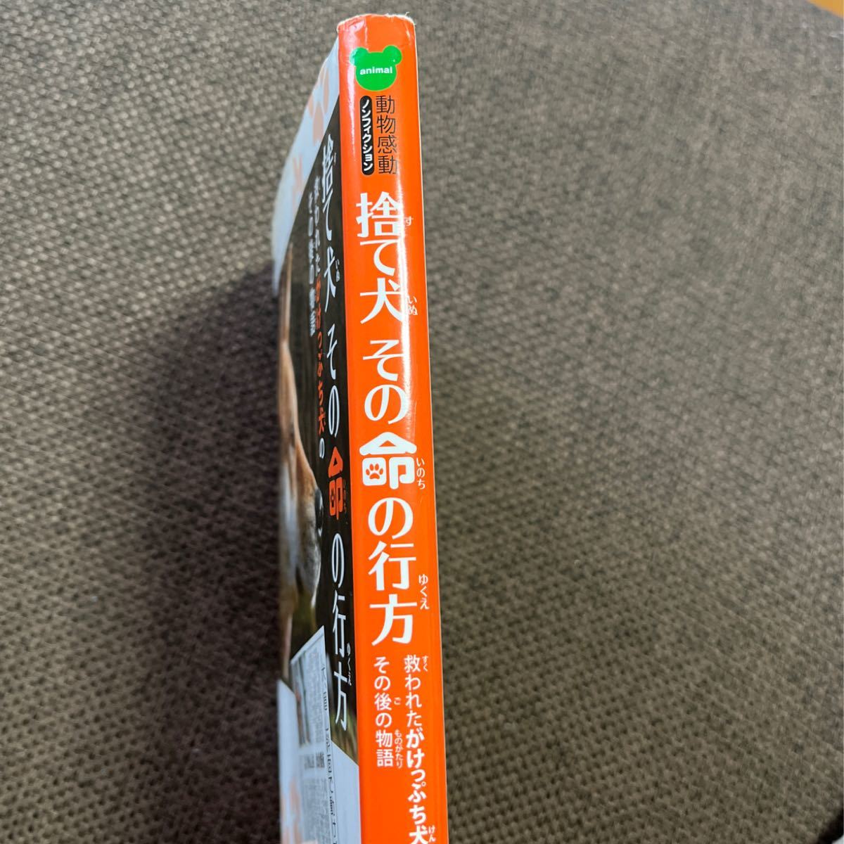 捨て犬その命の行方 救われたがけっぷち犬のその後の物語/今西乃子/浜田一男