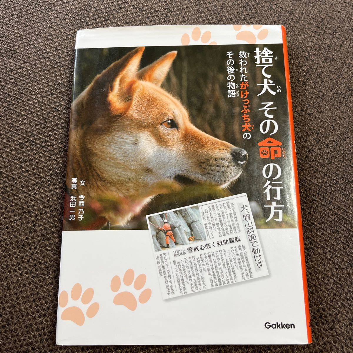 捨て犬その命の行方 救われたがけっぷち犬のその後の物語/今西乃子/浜田一男