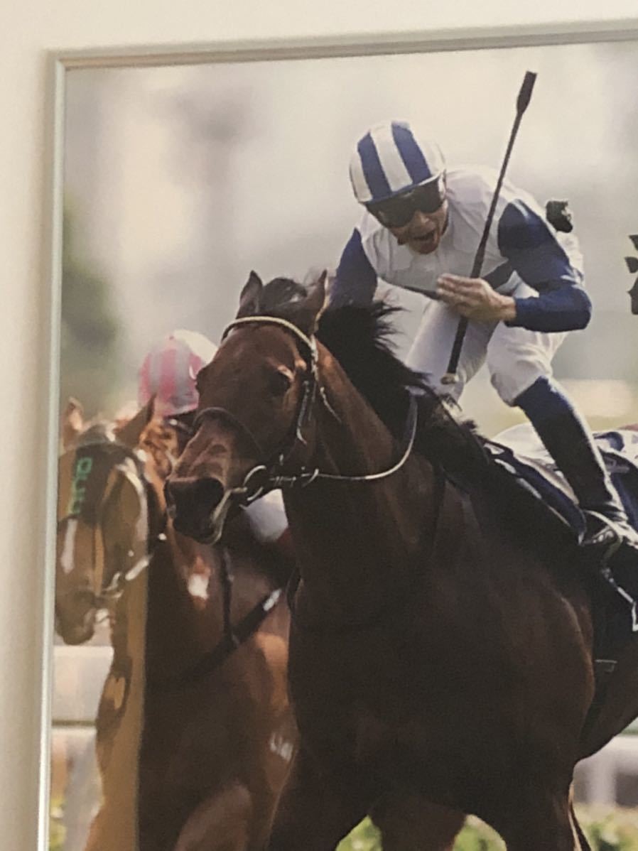 JRA ヒーロー列伝 ロードカナロア ポスター B1サイズ 非売品 競馬(競馬 ...
