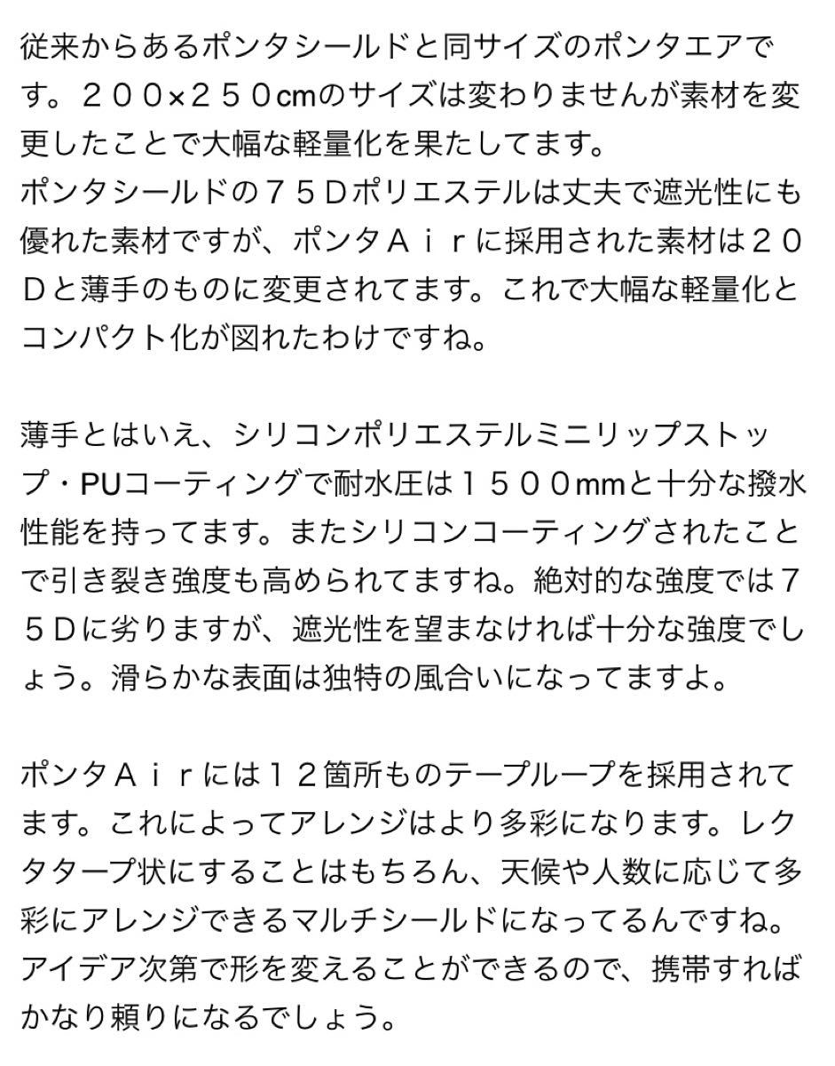 【snow peak】【スノーピーク】【PONTA Air】【ポンタエアー】【STP-171】【レア】【廃盤】【綺麗】【入手困難】
