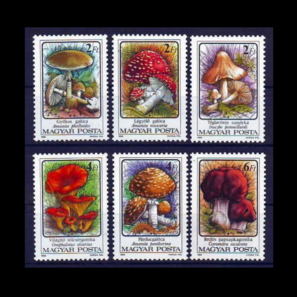 ■ハンガリー切手　1986年　キノコ類　6種完_画像1