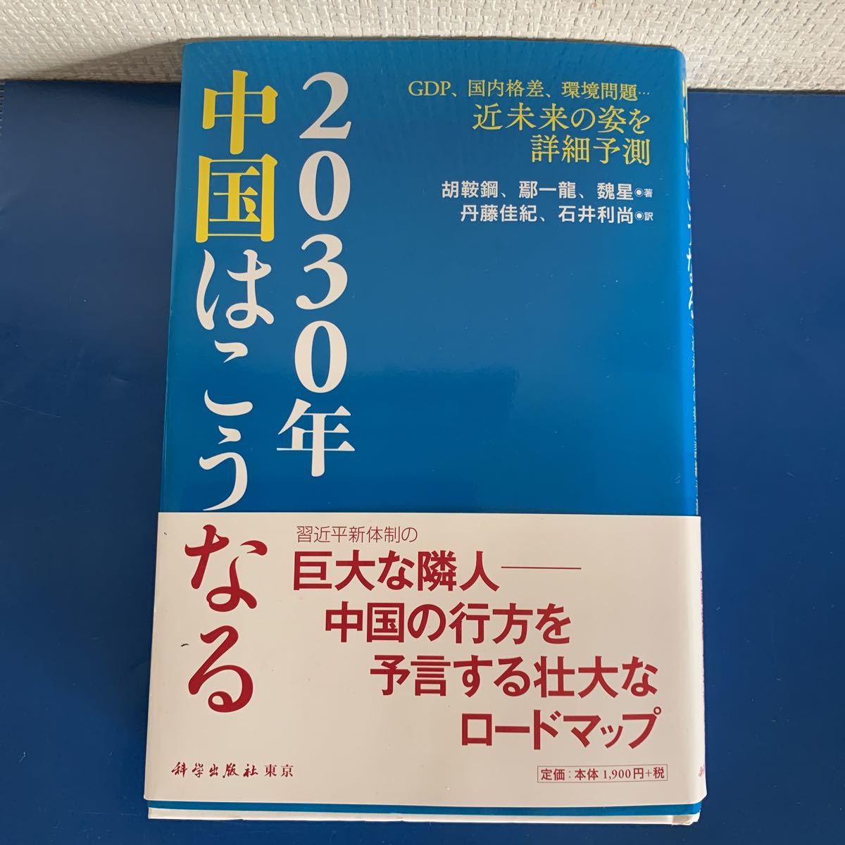 2030年中国はこうなる―GDP、国内格差、環境問題…近未来の姿を詳細予測 2012/11/27 胡 鞍鋼 (著)　 丹藤 佳紀 ・ 石井 利尚 (翻訳)_画像1