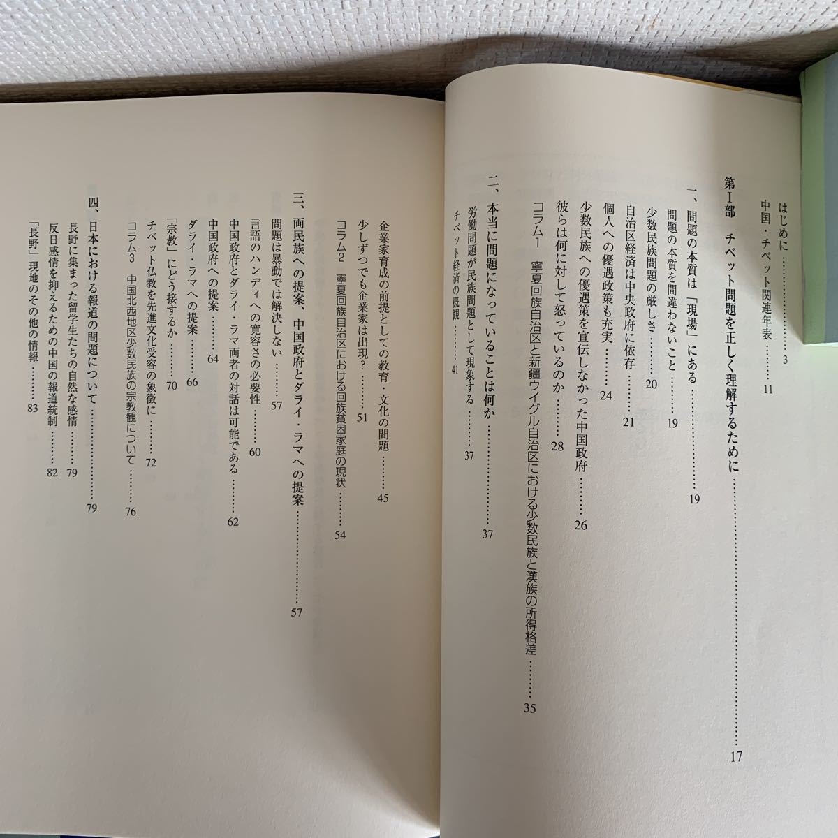 チベット問題とは何か―“現場”からの中国少数民族問題 2008/7/14 第3刷発行　大西 広 (著)_画像4