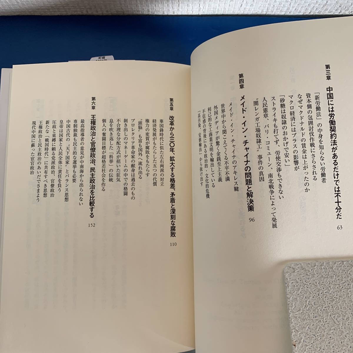 中国は世界恐慌にどこまで耐えられるか 2009/3/2 仲 大軍・坂井 臣之助 (翻訳)　ハードカバー製本_画像9