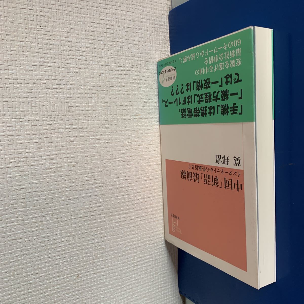 中国「新語」最前線―インターネットから性風俗まで (新潮選書) 2003/1/30第2刷発行 　莫 邦富 ( 原著)_画像3