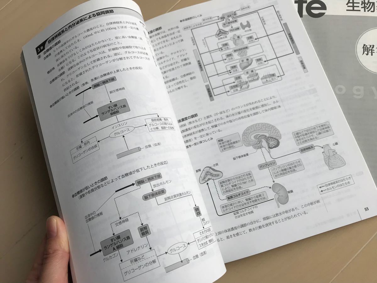 「改訂 レッツトライノート　生物基礎」東京書籍　記入式ワーク　新品未使用