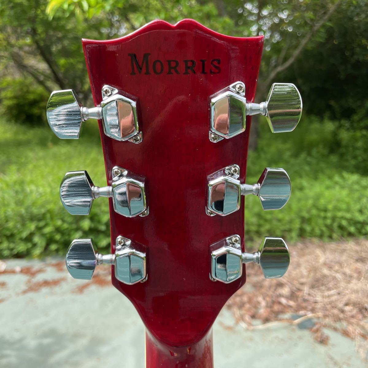 Morris ハミングバード Morris ハミングバード