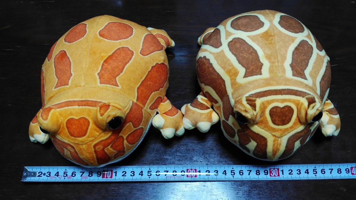 ツノガエル ぬいぐるみ 4匹セットツノガエルぬいぐるみ ツノガエル ぬいぐるみ 4匹セットツノガエルぬいぐるみ