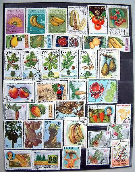 *.. thing stamp world. fruit stamp fruit approximately 100 sheets * pineapple durio banana re-arrival 