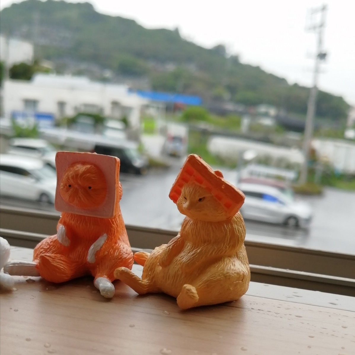 超可愛い】猫の置物 お間抜け猫ちゃん 4匹セット|Yahoo!フリマ 超可愛い】猫の置物 お間抜け猫ちゃん 4匹セット|Yahoo!フリマ