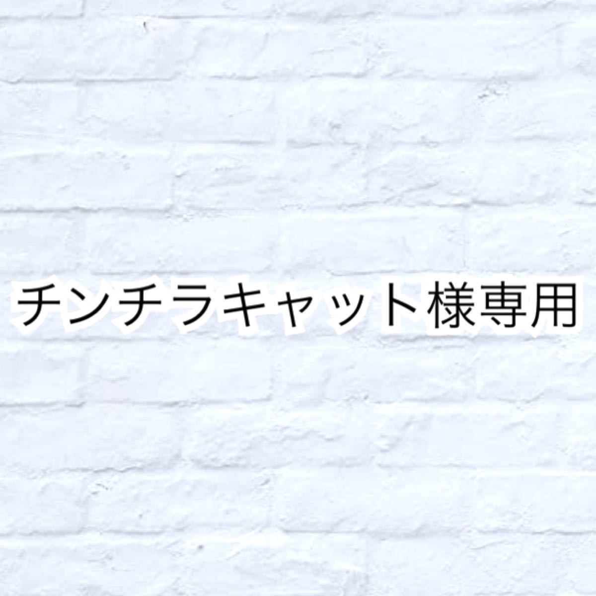 専用。エンビロン☆シークエンストーナー、シークエンスセラム2