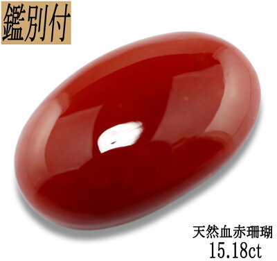 最初の  値下げSALE!【鑑別付】 天然血赤珊瑚15.18ct　送料無料 真珠