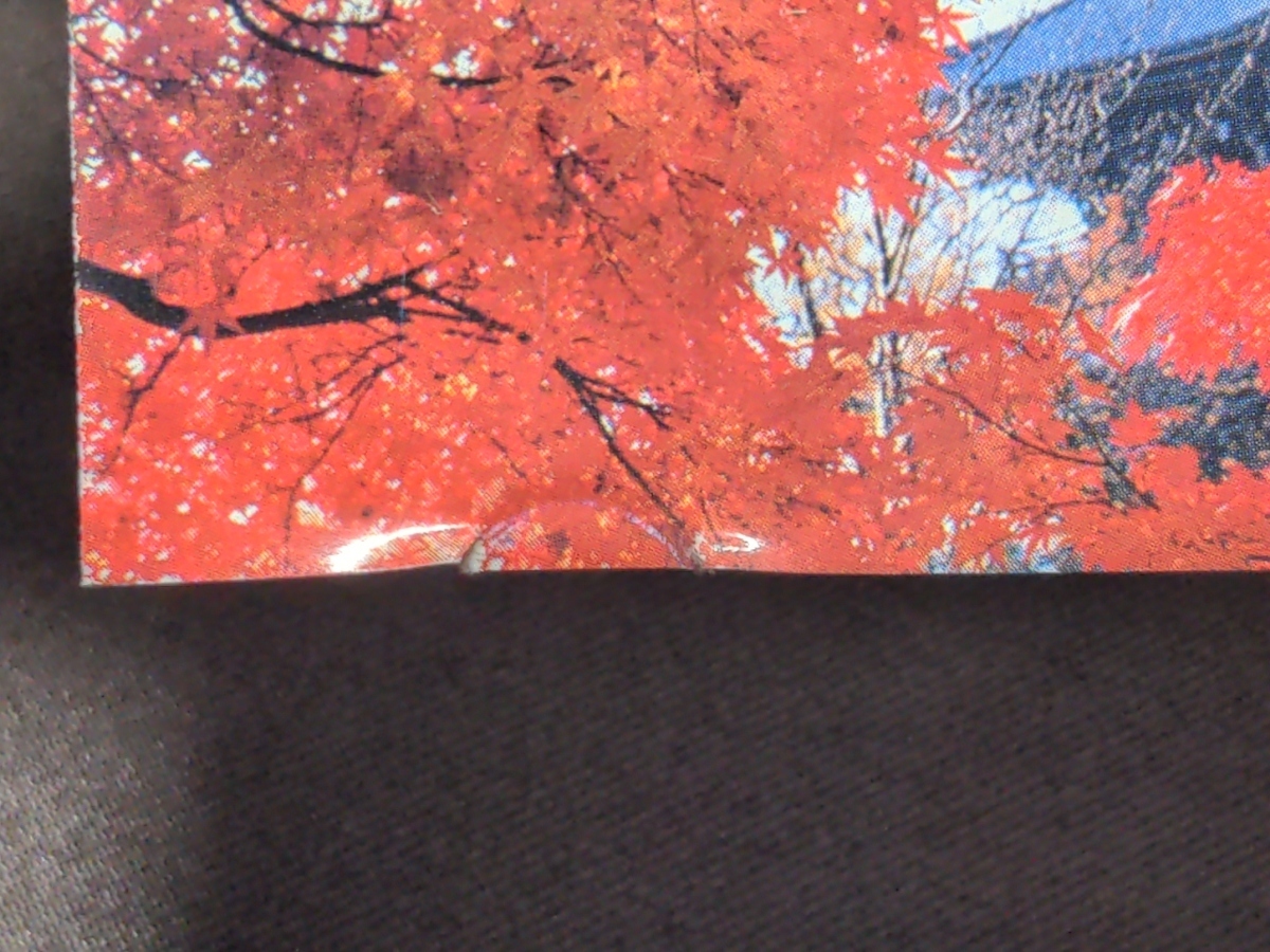 セル版 DVD Virtual trip 京都の紅葉 / bh927_画像5