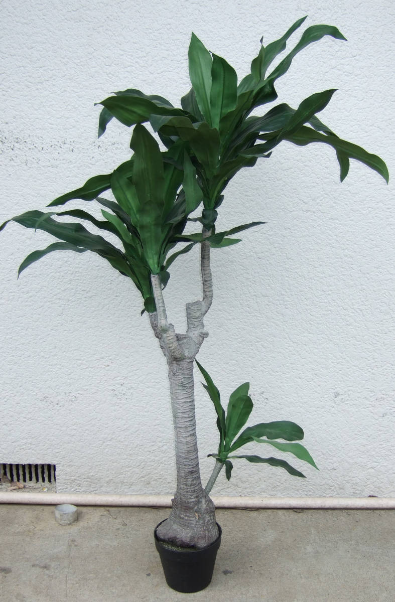 手渡し希望 水やり不要 造花 観葉植物 ドラセナ 幸福の木(ドラセナ 