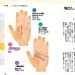 [ magazine ] color new version zubari understand! palm reading // your now . future . understand!