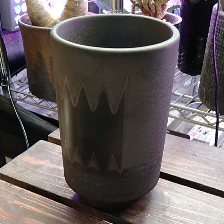 valiem ビター 植木鉢 激レア | noonanwaste.com