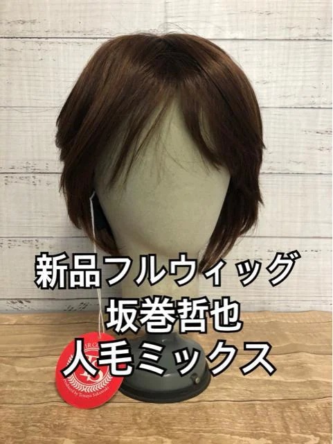 最安値】 新品☆坂巻哲也フルウィッグ♪人毛MIXショートスタイル