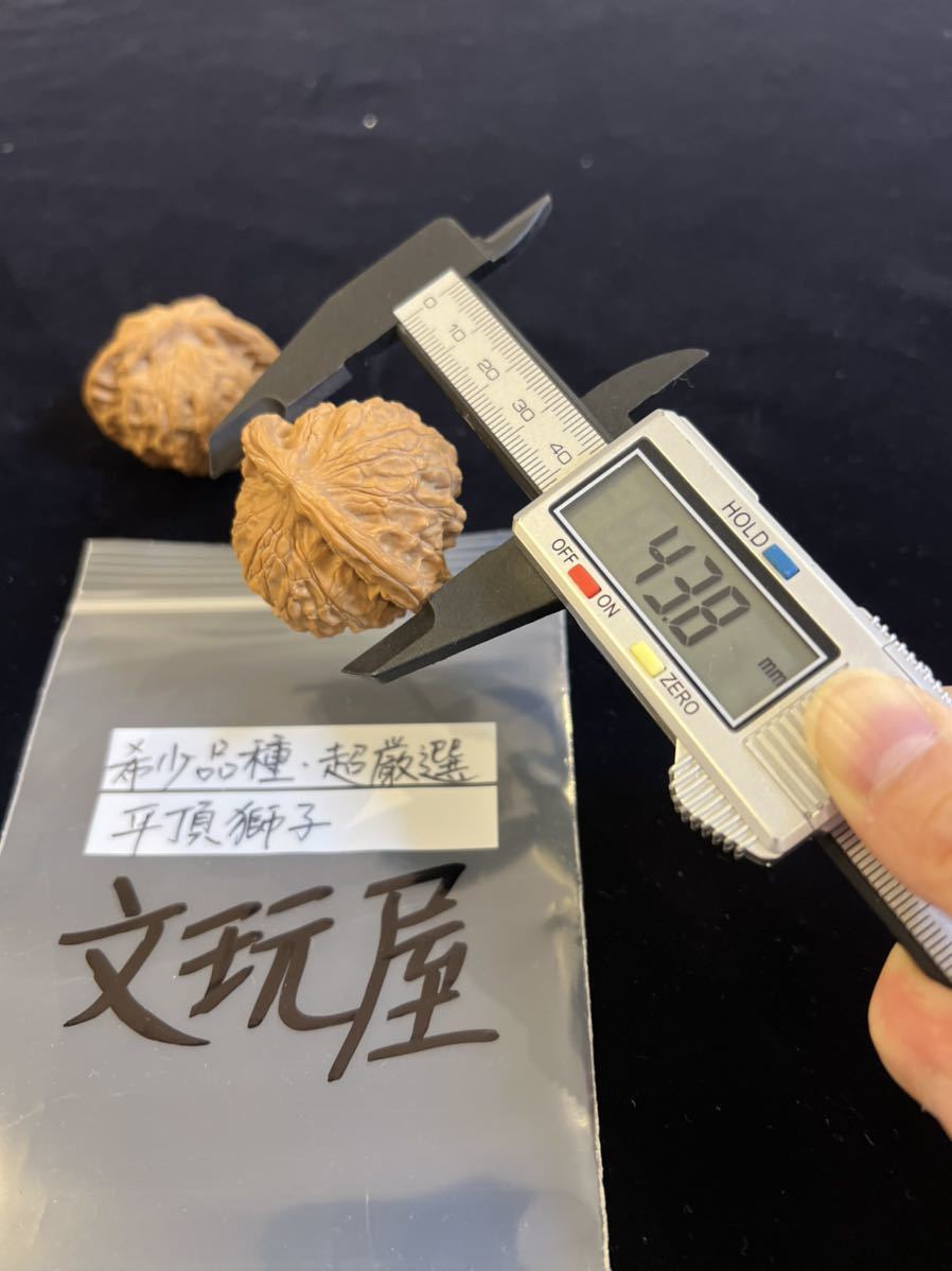 遊び胡桃 希少品種 超厳選 平頂獅子 コレクション 趣味 健康グッズ